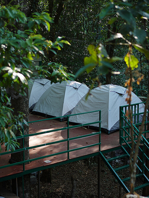 Tent stay